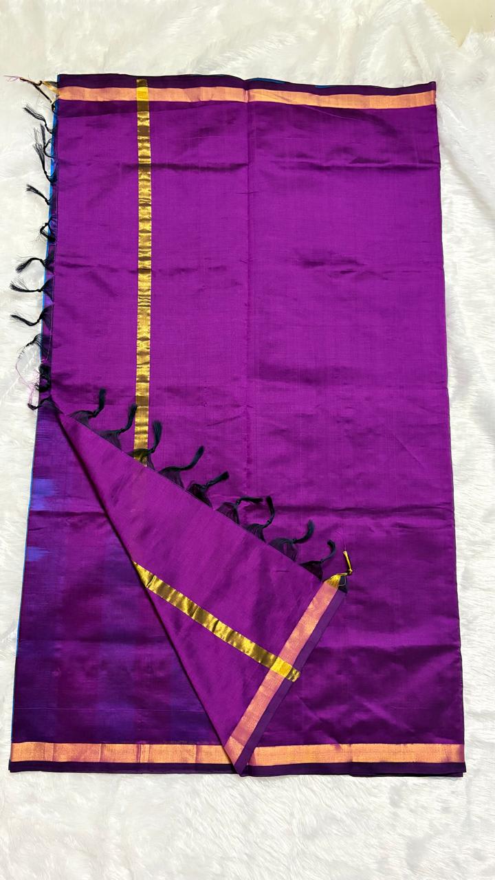 Paturu Pattu Saree - Blue and Purple — Blue Chanderi Cotton Silk saree